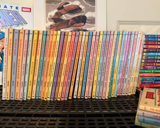 The Boxcar Children books