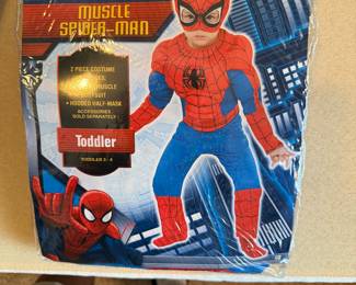 Halloween costume 