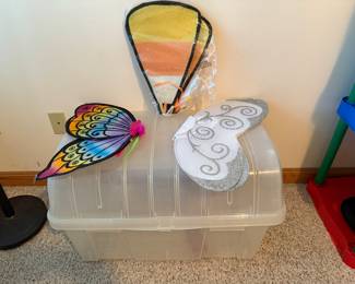 Costume wings