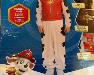 Halloween costume 