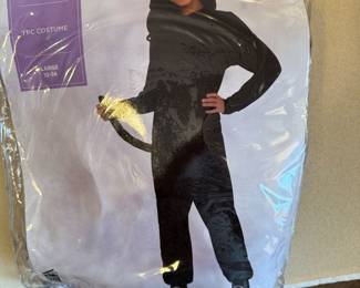 Halloween costume 