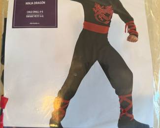 Halloween costume 