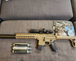 SIG air rifle - CO2 powered w/ scope