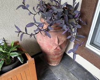 outdoor plants