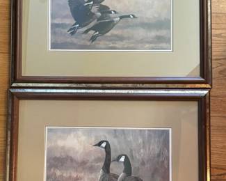 Christopher Forrest Framed Duck Prints
