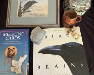 Sue Coleman Crow Print Crow Book And More Nature