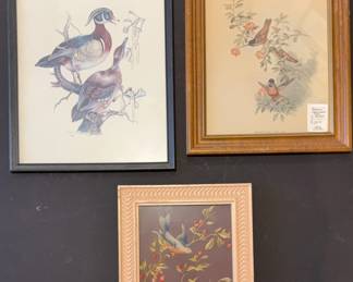 Framed Hummingbird Print Bird Branches And Ducks
