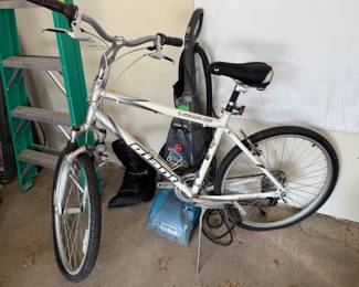 Sedona  DX Giant bike