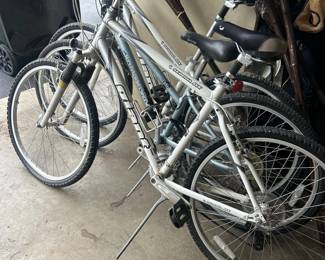 Sedona GIANT DX bikes