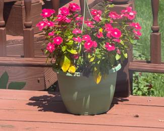 live flowers