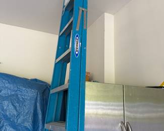 Werner aluminum ladder