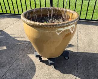 Pot