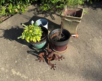 Pots