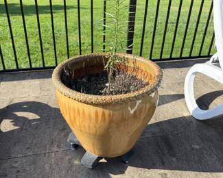 Pot