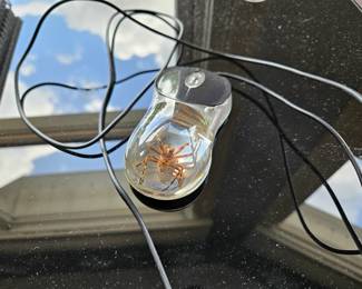 Spider computer mouse
