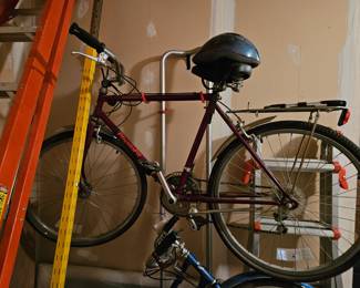 Mens physiofit bicycle