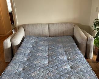 Full size sofa sleeper. Nice clean mattress.