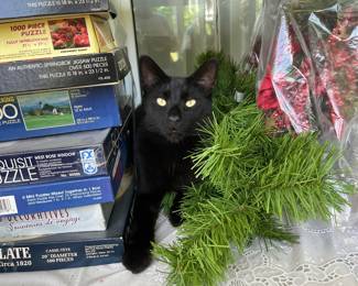 Puzzles guarded by neighbor kitty