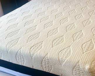 ADVANTAGE PLUSH TT I TWIN, FULL MATTRESS AND HEADBOARD.
