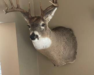 Another on..nice rack