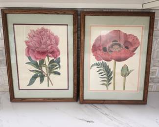 BOTANICAL PRINTS