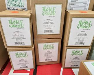 Home Grown Figurines New in Box