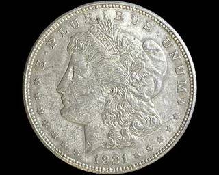 wIMG 1857 t