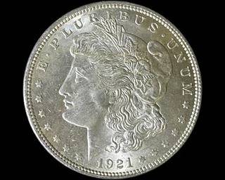 wIMG 1831 t