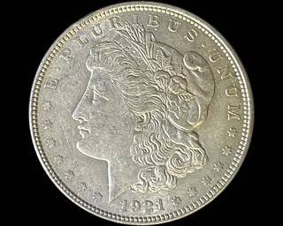 wIMG 1833 t