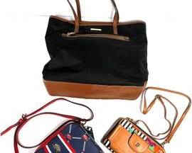 wIMG 1099 t