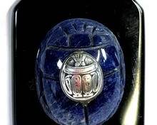 wIMG 0220 t
