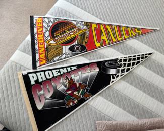 Sports Pennants 