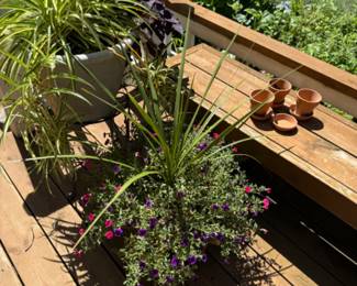 Plants, Planters 