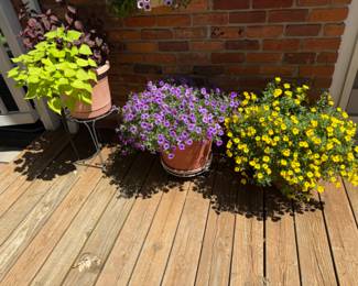 Planters and Plants 