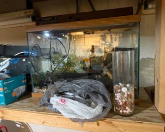 Fish Tanks