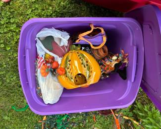 Autumn/Halloween