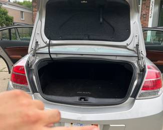 back side and trunk