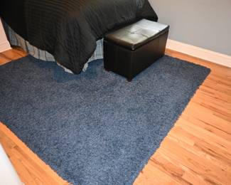 Area Rug
