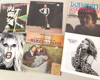 Very Well Cared for Vinyl LPs