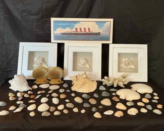 From Shore To Shelf