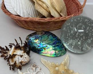 143 ShellsandBeachDecor