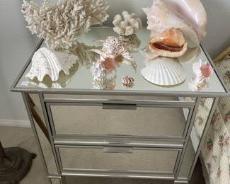 Lovely seashells and real coral