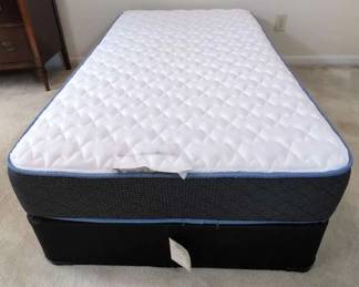 Sherwood Midwest Twin Mattress And Box Spring
