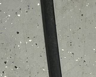 WW2 German Officer Lion's Head Sword