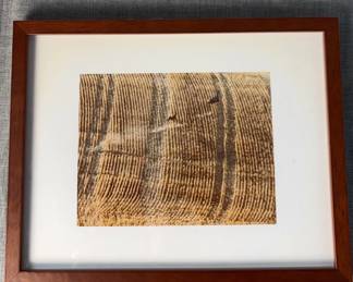 Autumn In The Palause Print By Jan L Baldwin, 2016