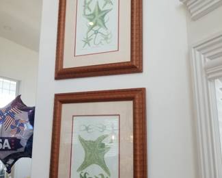 Starfish art