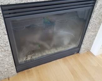 Gas fireplace with remote by Lennox