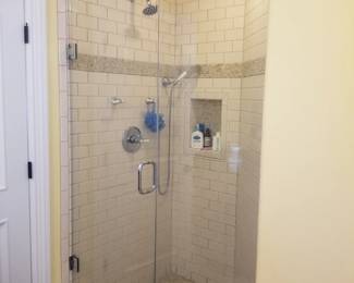 Glass shower door; shower hardware