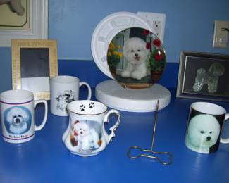 BICHON GOODIES
