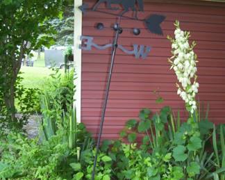WEATHER VANE